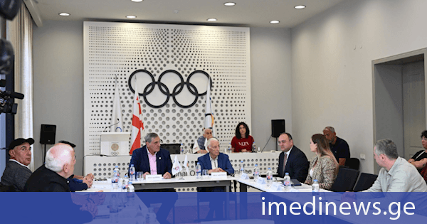 ირაკლი დოლაბერიძე საქართველოს ეროვნული ოლიმპიური კომიტეტის აღმასკომის სხდომას დაესწრო