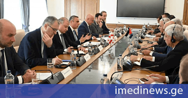 დავით მათიკაშვილი იორდანიის ჰაშიმიტური სამეფოს წარმომადგენელთა პალატის საქართველოს პარლამენტთან მეგობრობის ჯგუფის დელეგაციას შეხვდა