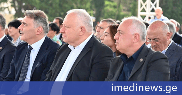 პარლამენტის წევრები ენერგეტიკოსთა პროფესიული დღის აღსანიშნავ ღონისძიებას დაესწრნენ