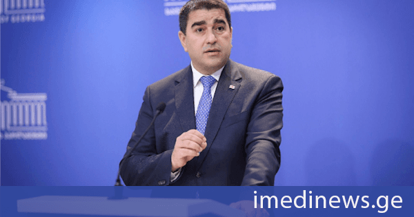 შალვა პაპუაშვილი: საქართველოს წინააღმდეგ, მათ შორის ჩართულნი იყვნენ უცხოური დაფინანსების მქონე ორგანიზაციები, რომლებიც რუსეთის მხარეს იბრძოდნენ საქართველოს წინააღმდეგ. მაგალითად საია რუსეთს სტრასბურგის სასამართლოს საჩივრებს უმზადებდა