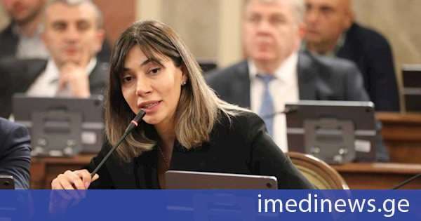 თინათინ ნიბლოშვილი: პრემიერ-მინისტრის ირაკლი კობახიძის ინიციატივა საჯარო სამსახურებში ანაზღაურებად სტაჟირებაზე ახალგაზრდების მომავალზე ზრუნვაა