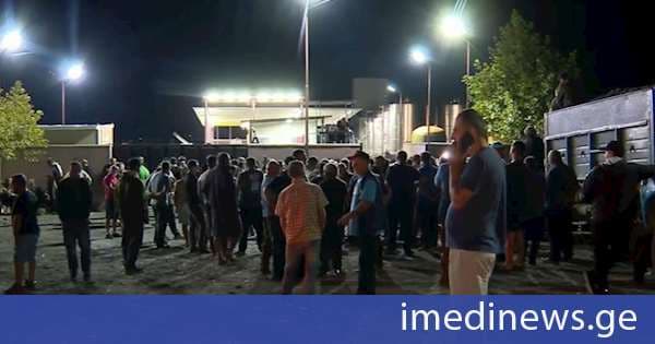 ყვარლის მუნიციპალიტეტში მევენახეთა ნაწილმა ყურძნის დიფერენცირებული ფასი გააპროტესტა