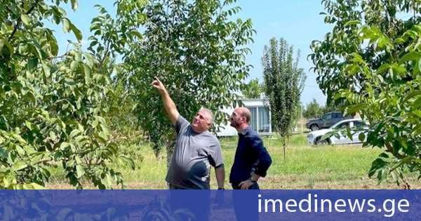 შპს „საქართველოს მელიორაციის“ კომერციული ხელმძღვანელი: სარწყავი სეზონის მიწურულს ჩვენთვის განსაკუთრებით მნიშვნელოვანია ადგილზე შევაფასოთ გაწეული მუშაობა და ფერმერებისგან პირადად მოვისმინოთ მოსაზრებები