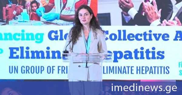 გაეროს გენერალური ასამბლეის ფარგლებში ჰეპატიტების ელიმინაციის საკითხზე ქვეყნებს შორის თანამშრომლობის გაძლიერებაზე იმსჯელეს