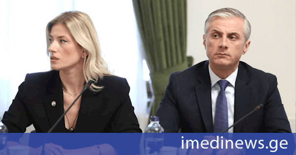 გოგა გულორდავამ პარლამენტში ტელეკომ ბაზარზე კონკურენციის განვითარების მიზნით მიმდინარე კომპლექსურ კვლევაზე ისაუბრა