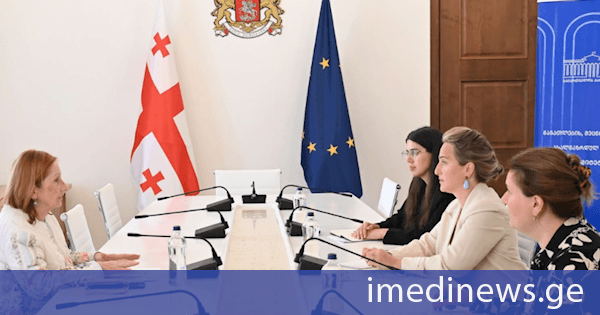 მარიამ ლაშხი სკოლის ექიმთა ასოციაციის პრეზიდენტს შეხვდა