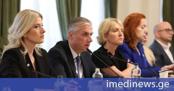 ComCom-ის თავმჯდომარემ მედიაწიგნიერების განათლებაში ინტეგრირების პროცესი და შედეგები შეაჯამა