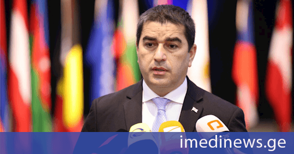 შალვა პაპუაშვილი: ასე აფასებენ უცხო ძალები ქართველებს, რომ გვარამიას, სააკაშვილის, ხაზარაძის მსგავსი ადამიანების მიმდევარი შეიძლება იყოს ქართველი ხალხი