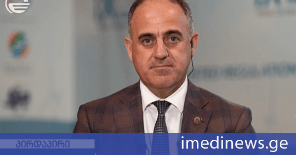 დავით ნარმანია: ენერგეტიკული უსაფრთხოება ქვეყნის ეკონომიკური უსაფრთხოების ერთ-ერთი მსხვილი ბლოკია. საქართველომ როგორც ენერგიის სატრანზიტო ქვეყანამ და ენერგეტიკულმა ჰაბმა ეს ყველაფერი უსაფრთხოდ უნდა გაატაროს იმიტომ, რომ ენერგიის ტრანზიტის შედეგად ქვეყანას გააჩნია საკმაოდ მნიშვნელოვანი ეკონომიკური და სოციალური სარგებელი