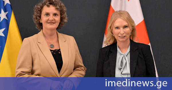 ნათია თურნავა ბოსნია და ჰერცეგოვინას ცენტრალური ბანკის პრეზიდენტს იასმინა სელიმოვიჩს შეხვდა