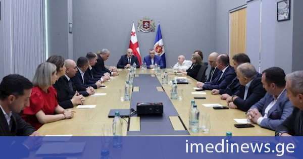 რატი იონათამიშვილმა შეზღუდული შესაძლებლობის მქონე პირთა უფლებების საკითხებზე მომუშავე საკონსულტაციო ჯგუფის შეხვედრაში მიიღო მონაწილეობა