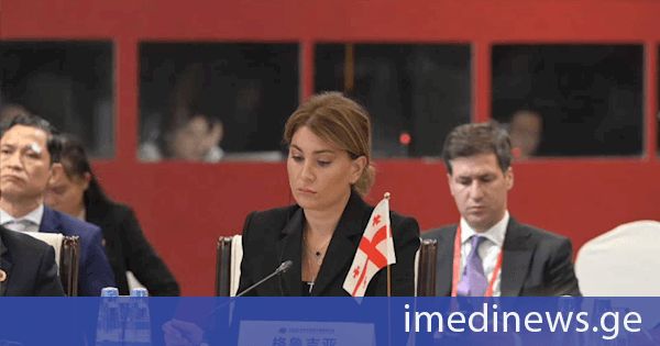 თამარ იოსელიანი: ჩვენთვის განსაკუთრებით მნიშვნელოვანია საქართველოზე გამავალი სატრანსპორტო კავშირების უსაფრთხოება, ეფექტიანობა, საიმედოობა და პროგნოზირებადობა