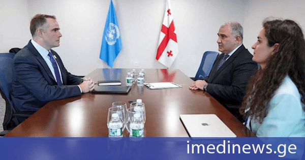 მიხეილ სარჯველაძე, გაეროს გენერალური ასამბლეის 81-ე სესიის ფარგლებში, მალარიის აღმოფხვრის საკითხებზე საერთაშორისო ორგანიზაციის წარმომადგენელს შეხვდა