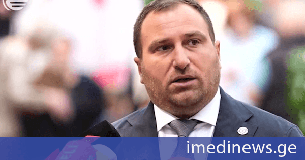 ირაკლი კირცხალია ეკა გიგაურზე: ქვეყანაში არსებული არასამთავრობო ორგანიზაციების დაფინანსების 90%-ზე მეტი მოდიოდა 2-3 არასამთავრობო ორგანიზაციაზე. მათ შორის ერთ-ერთი ლიდერი იყო ქალბატონი ეკას ორგანიზაცია