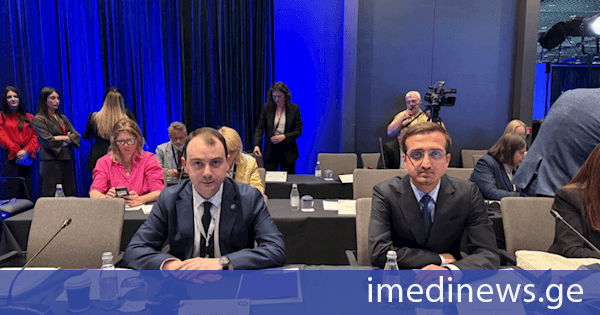 საქართველოს პარლამენტის დელეგაცია ტირანაში ევროკავშირის გაფართოებისა და ევროპის მომავლის სტრატეგიულ დღის წესრიგზე გამართულ საპარლამენტთაშორისო კონფერენციაში მონაწილეობს