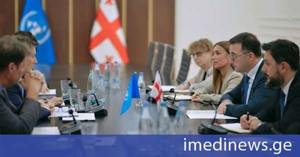 დავით სონღულაშვილი გაეროს მუდმივ კოორდინატორს დიდიე ტრებიუკს შეხვდა