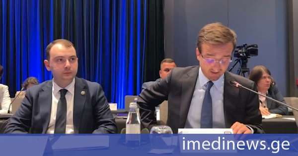 თორნიკე ფაღავა: მშვიდობა და სტაბილურობა ჩვენი დემოკრატიული განვითარების, ეკონომიკური მდგრადობისა და ევროპული ინტეგრაციის აუცილებელი წინაპირობებია. ჩვენი პრიორიტეტია მშვიდობის შენარჩუნება, ესკალაციის თავიდან აცილება და მშვიდობიანი გზით დეოკუპაცია