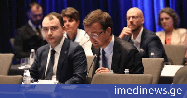 საქართველოს პარლამენტის დელეგაციამ ევროკავშირის გაფართოებისა და ევროპის მომავლის სტრატეგიულ დღის წესრიგზე გამართულ საპარლამენტთაშორისო კონფერენციაში მიიღო მონაწილეობა