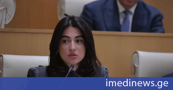 ლიკა შარტავა: დღევანდელ გლობალურ ქაოსში საქართველო დგას მტკიცედ, ვითარდება და ინარჩუნებს სტაბილურობასა და უსაფრთხოებას