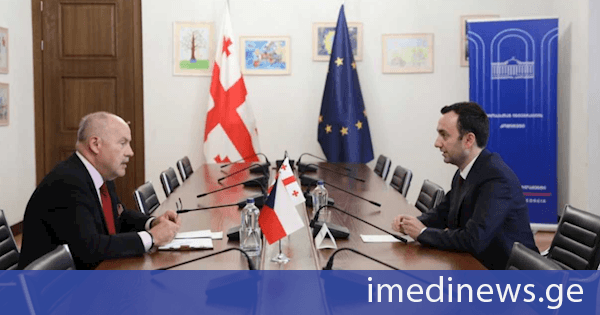 ლევან მახაშვილი ჩეხეთის ელჩს შეხვდა