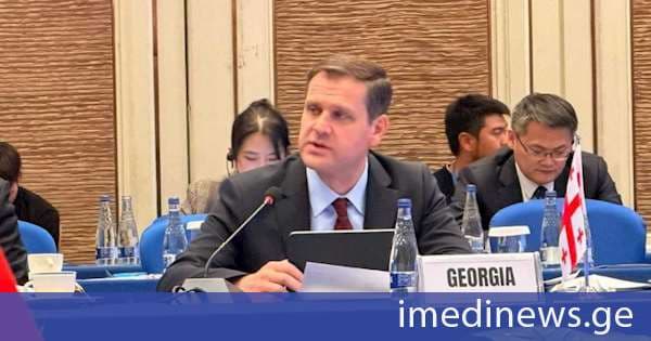გენადი არველაძე: შუა დერეფნის მზარდი მნიშვნელობა ქმნის ახალ შესაძლებლობებს უფრო ფართო რეგიონულ ეკონომიკურ განვითარებაზე გადასასვლელად