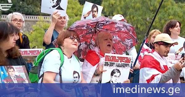 IRI-ის კვლევის შედეგების ვიზუალური დადასტურება - „ნაცმოძრაობის“ ჩავარდნილი გეგმა და მცირერიცხოვანი აქცია სააკაშვილისთვის. „ქრონიკის“ სიუჟეტი