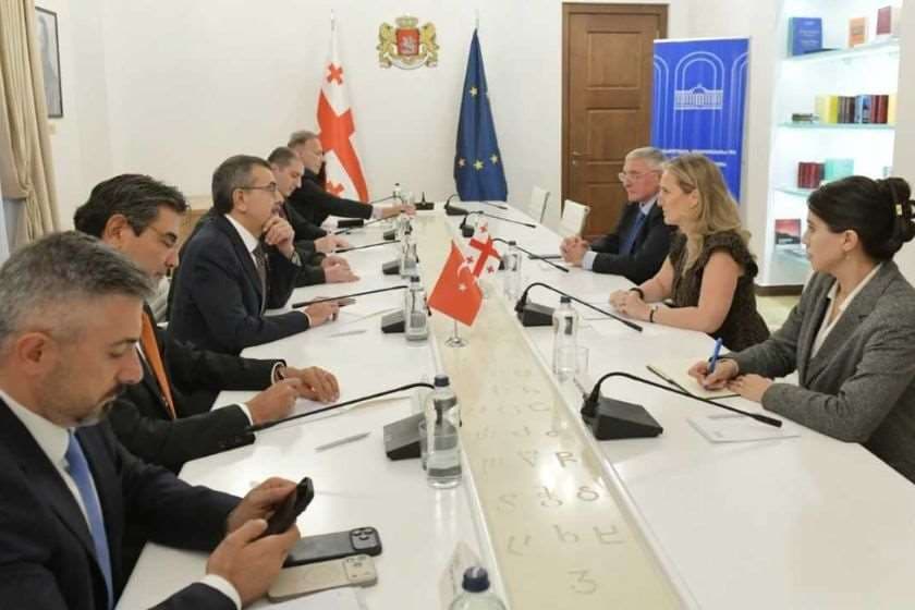 მარიამ ლაშხი თურქეთის ეროვნული განათლების მინისტრს შეხვდა
