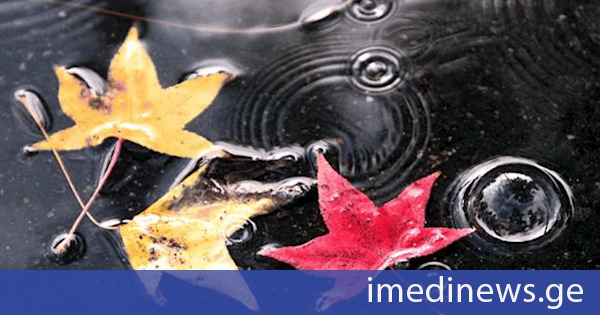როგორი ამინდია მოსალოდნელი 3 ოქტომბერს საქართველოში
