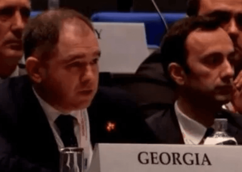 საქართველოს დელეგაციამ პროტესტის ნიშნად ეუთოს კენჭისყრაში მონაწილეობა არ მიიღო