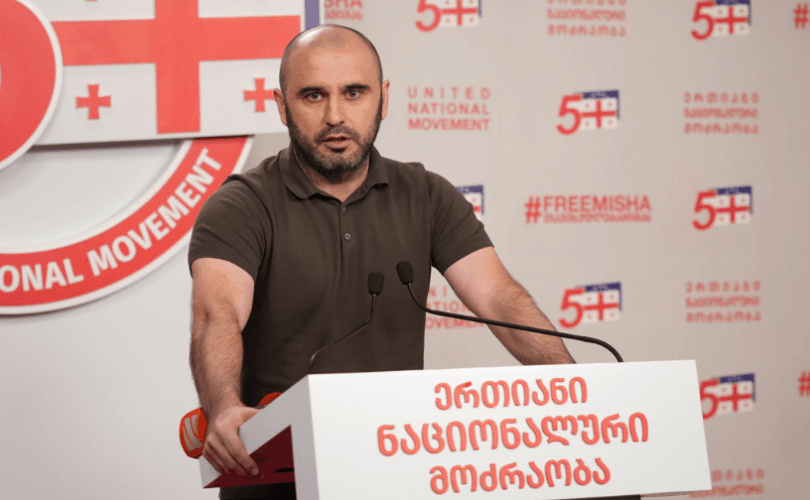 ხაბეიშვილი: ხელს უწყობენ გინტურის მკვლელებს, მცოცავ ოკუპაციას