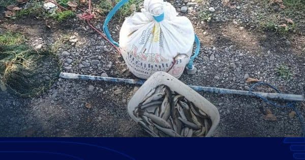 გარემოსდაცვითი ზედამხედველობის დეპარტამენტმა კახეთში ბრაკონიერობის ფაქტი გამოავლინა