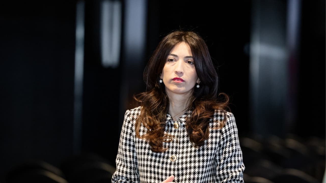 ღარიბაშვილიც კი ადასტურებს, რომ დღეს სახელმწიფო მიტაცებულია - დოლიძე - Netgazeti